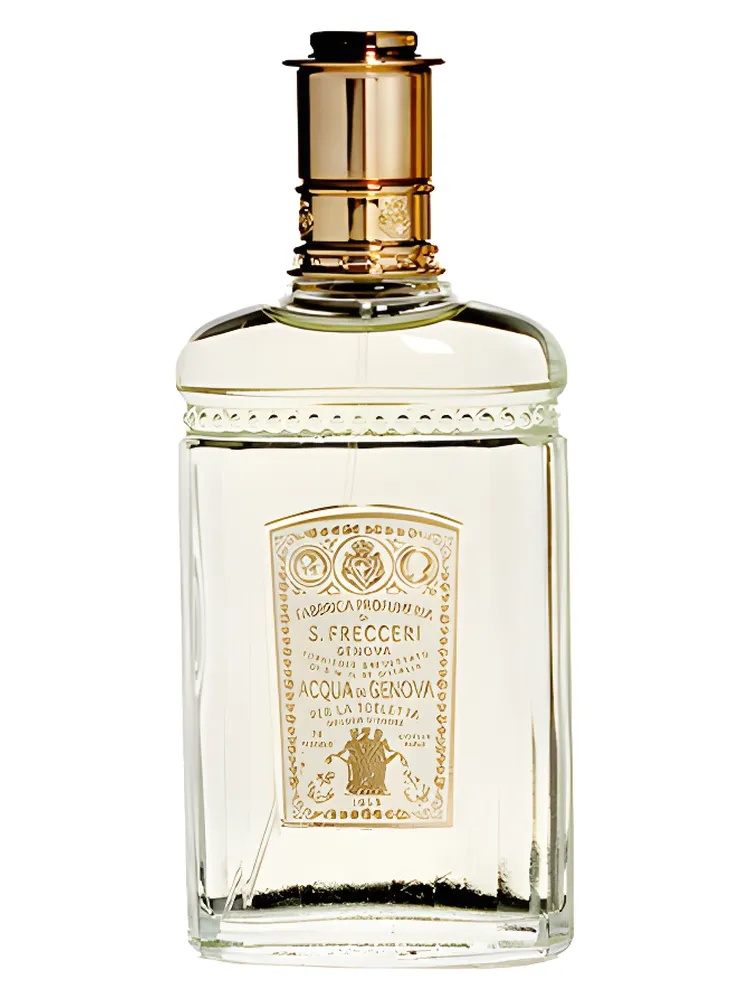 1853 Lady