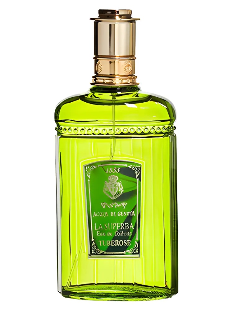 Tuberosa