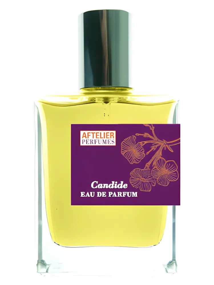 Candide