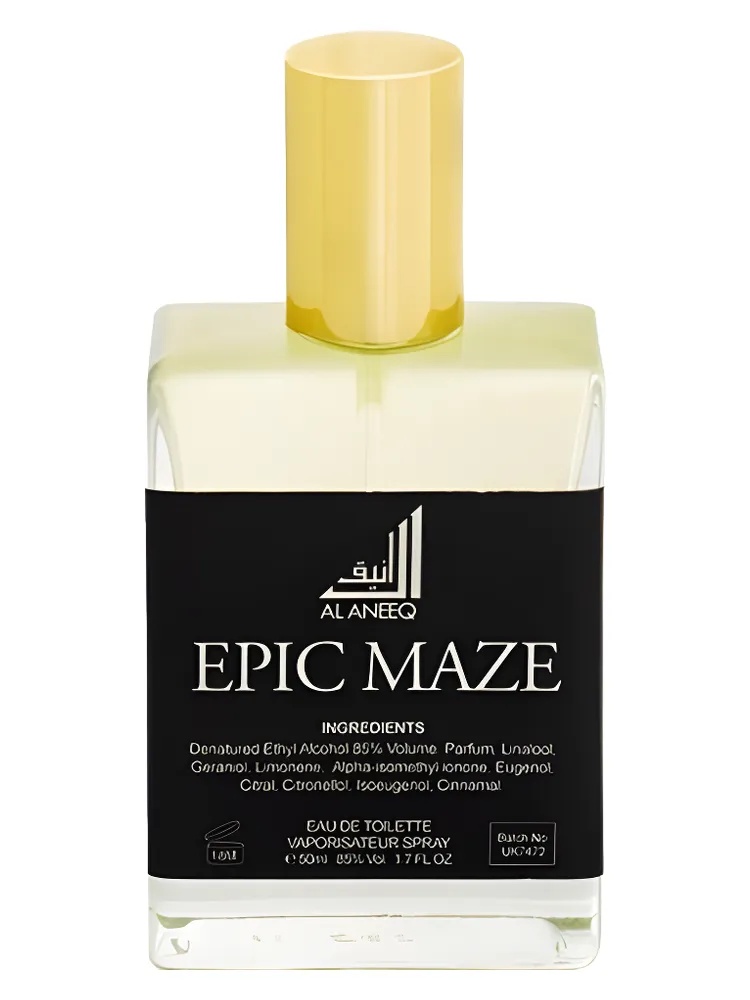 Epic Maze