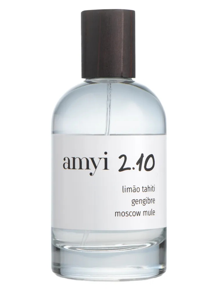 Amyi 2.10