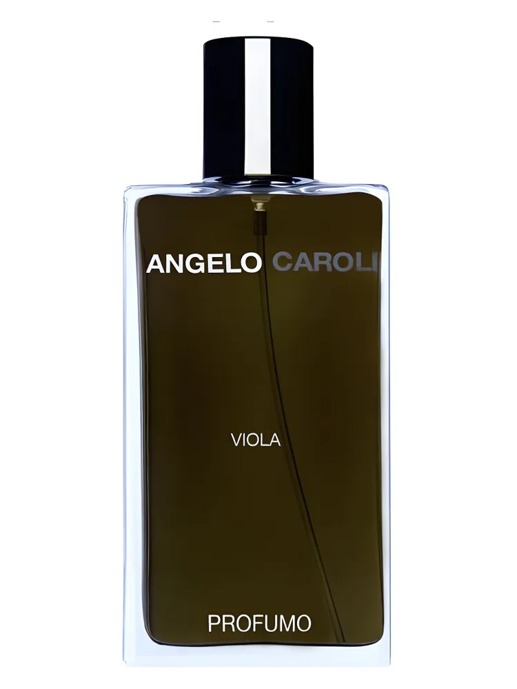 Viola
