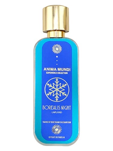 Borealis Night