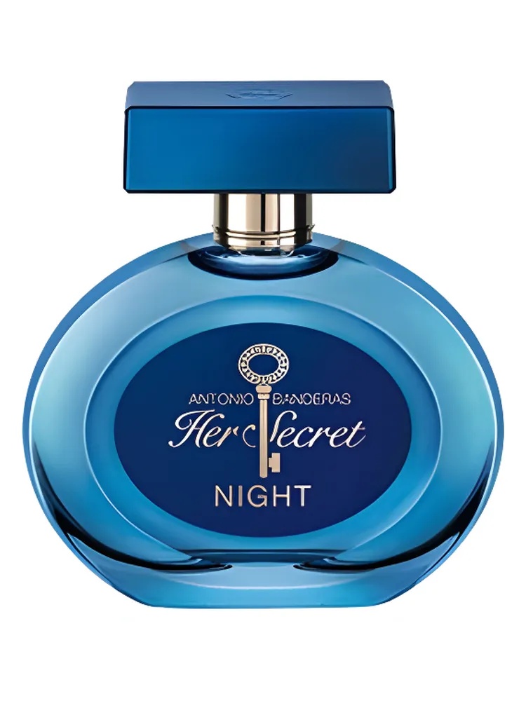 Her Secret Night