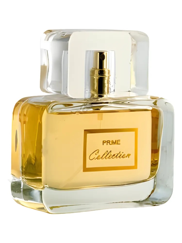 Prime Collection for Women