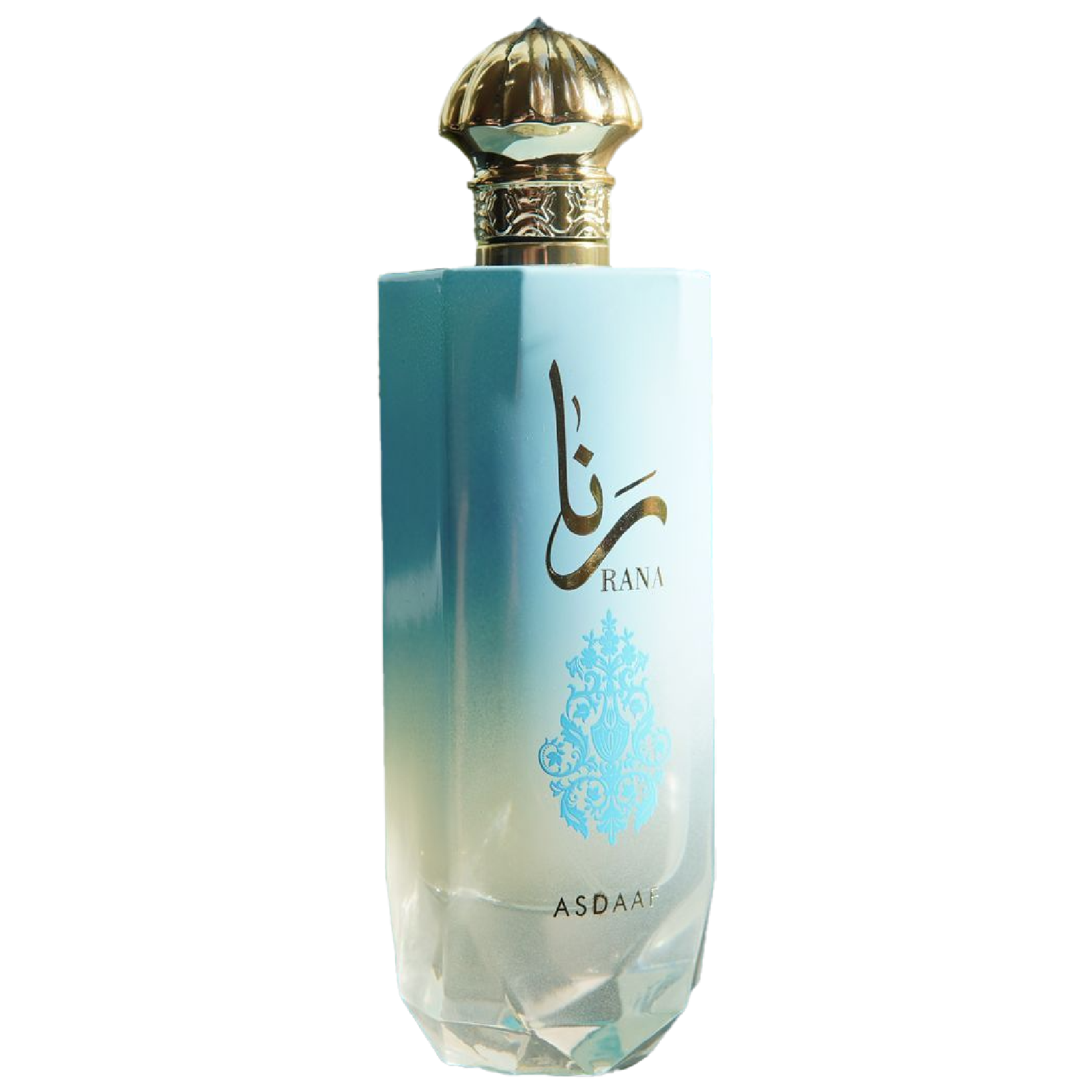 Asdaaf Rana EDP