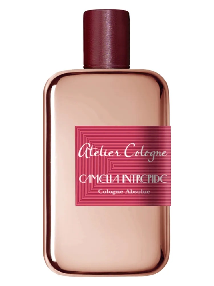 Camelia Intrepide