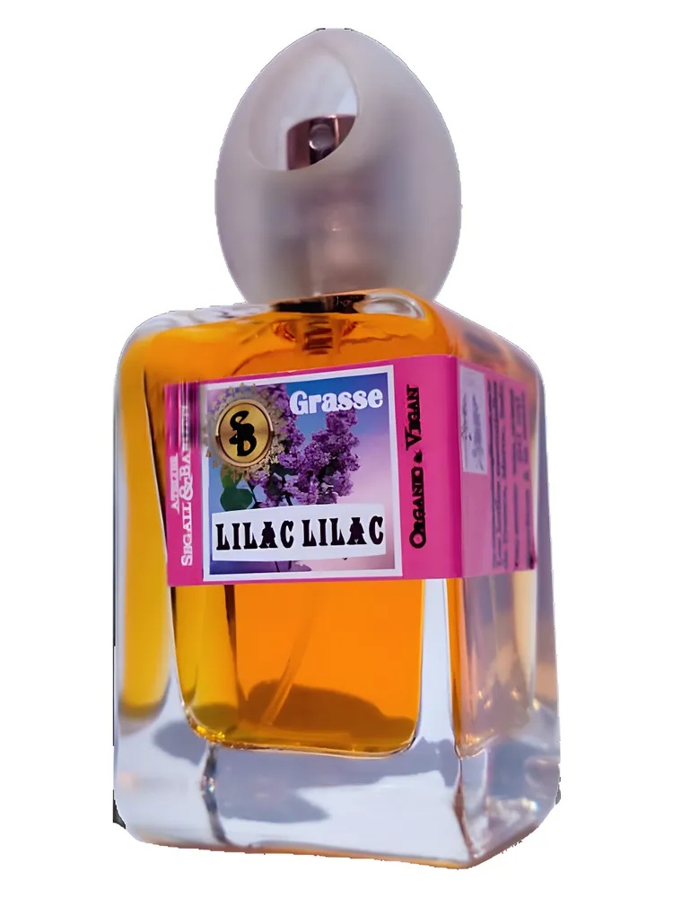 Lilac Lilac