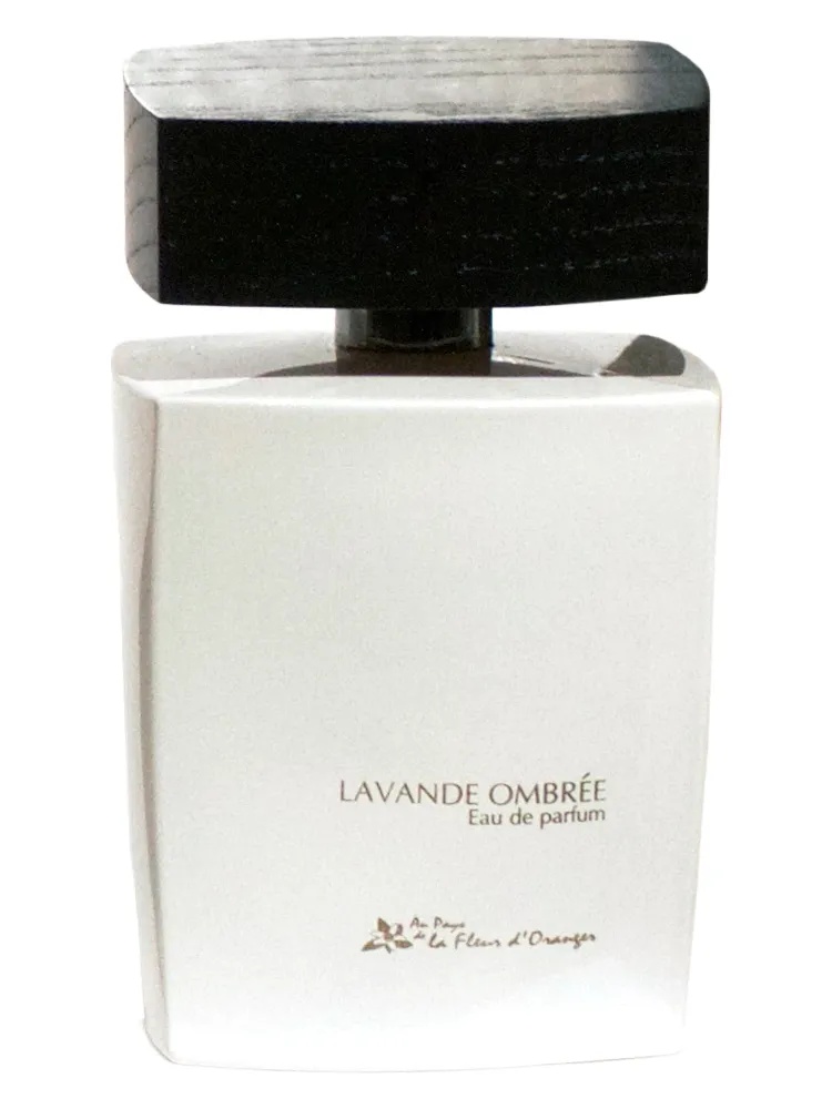 Lavande Ombree