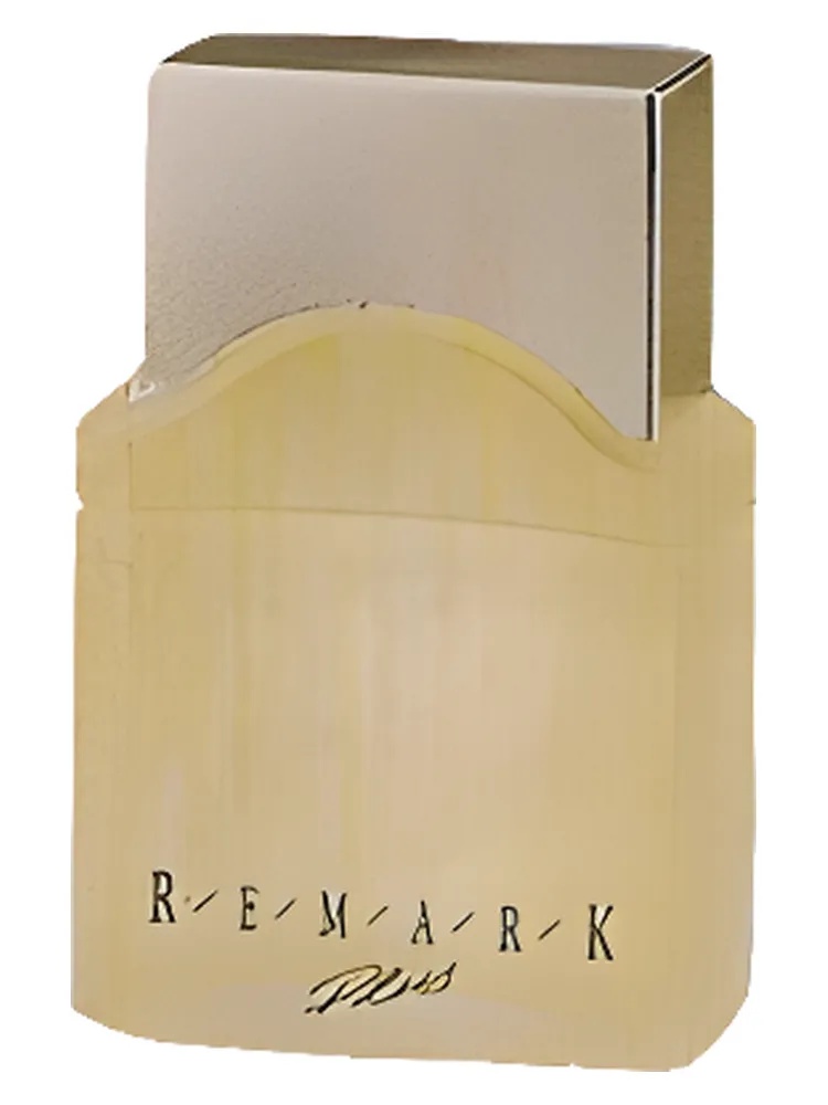 Remark Plus
