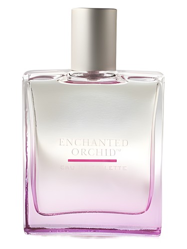Enchanted Orchid