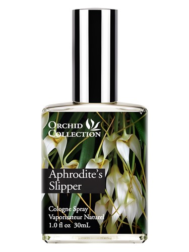 Aphrodite's Slipper Orchid