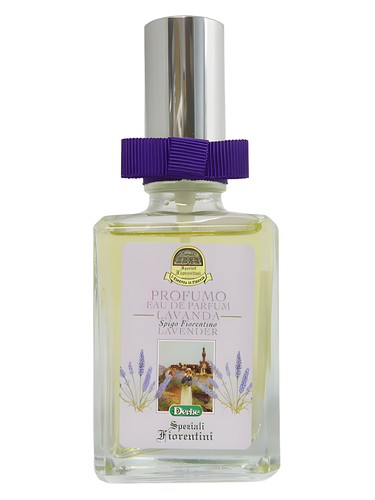Lavanda