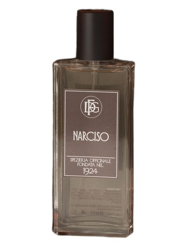 Narciso