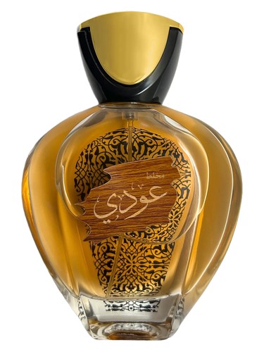 OUDI