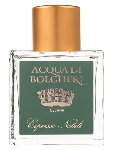 Cipresso Nobile