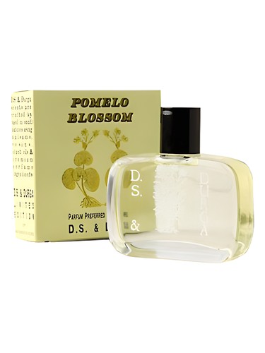 Pomelo Blossom