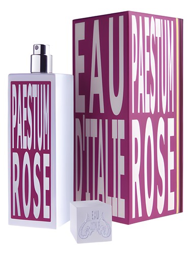 Paestum Rose