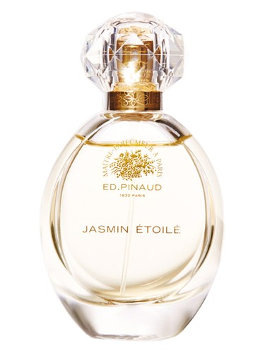 Jasmin Etoilé