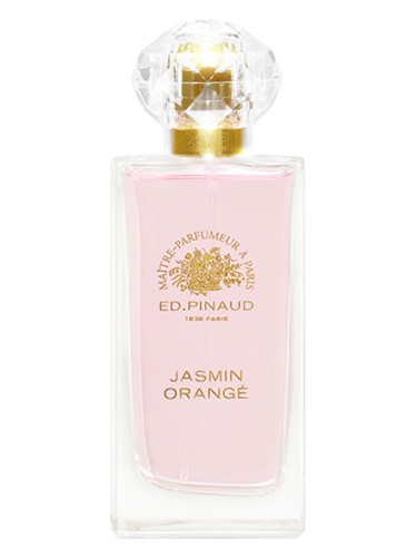 Jasmin Orangé