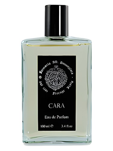 Cara