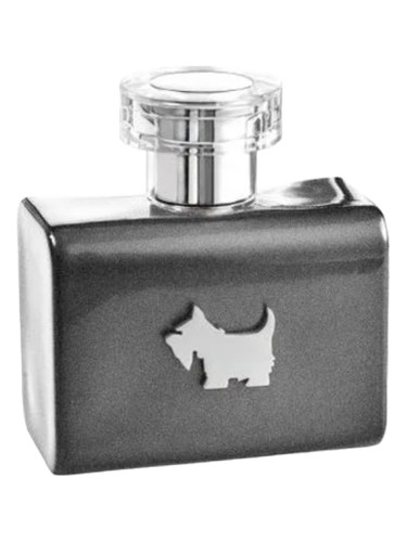 Terrier Grey