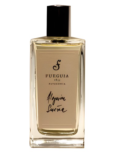 Alguien Sueña