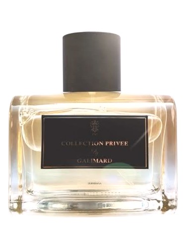 Ambre