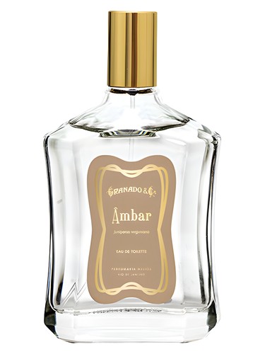 Âmbar