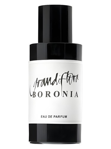 Boronia