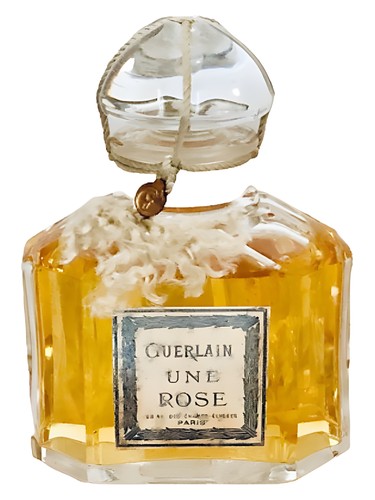 Une Rose