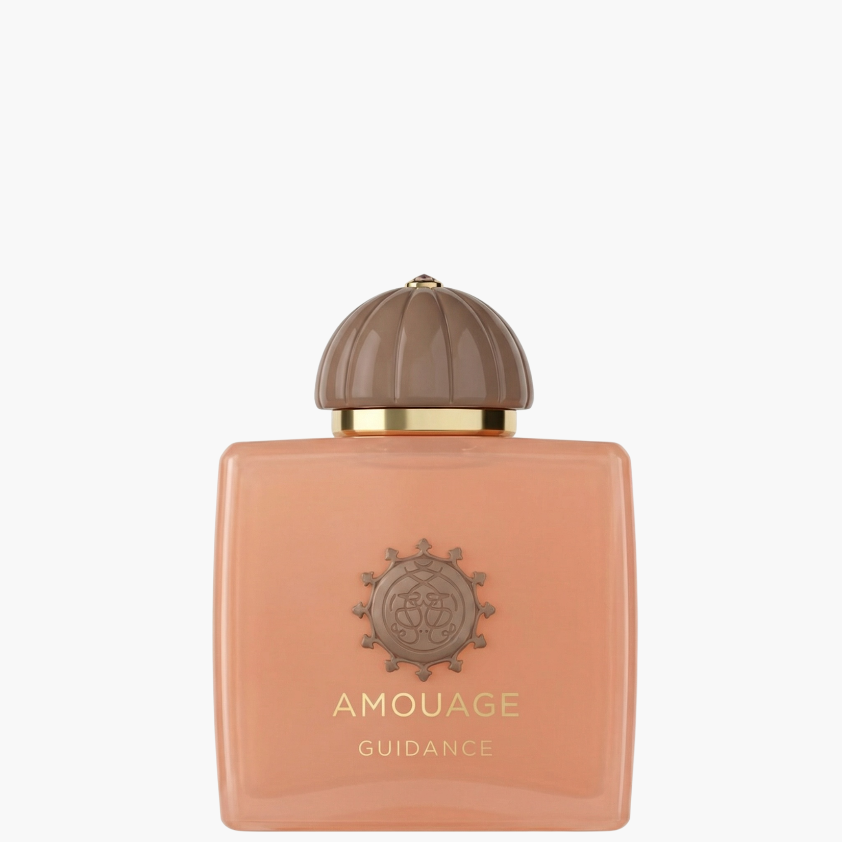 Guidance EDP