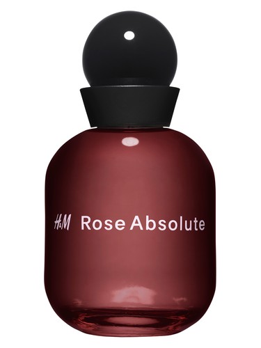 H&M Rose Absolute