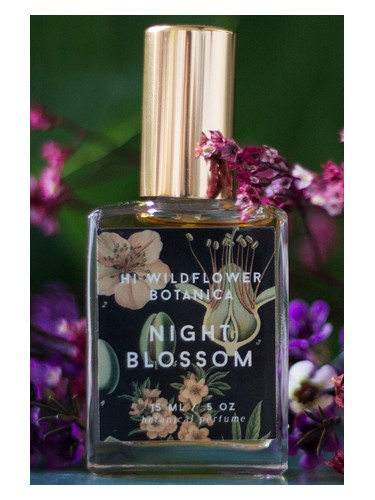 Night Blossom
