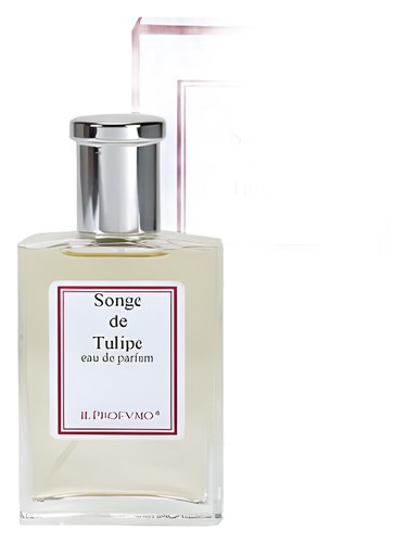 Multiflor Line Songe de Tulipe