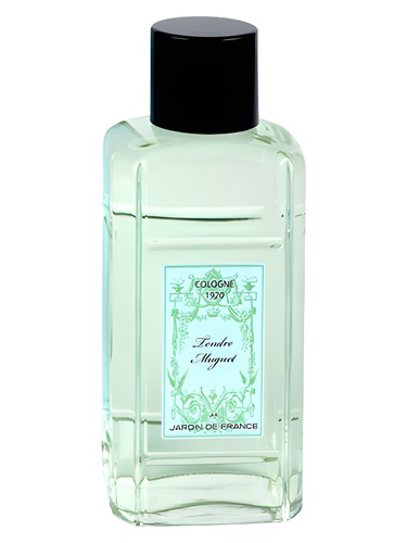 Tendre Muguet