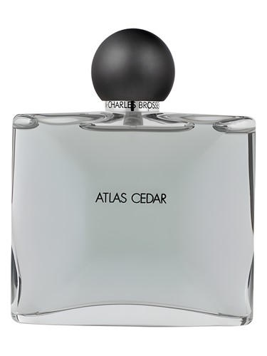 Atlas Cedar