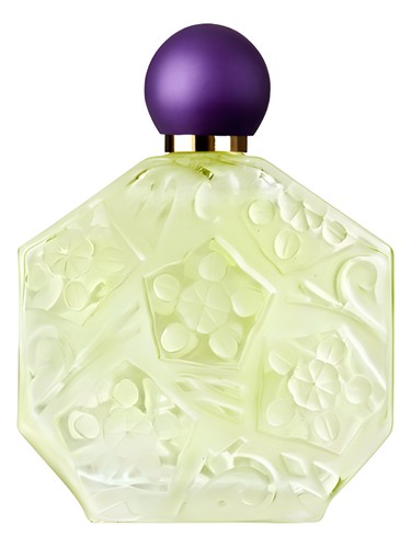 Fleurs d'Ombre Violette - Menthe