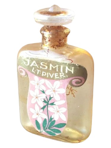 Jasmin
