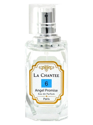 Angel Promise No. 6