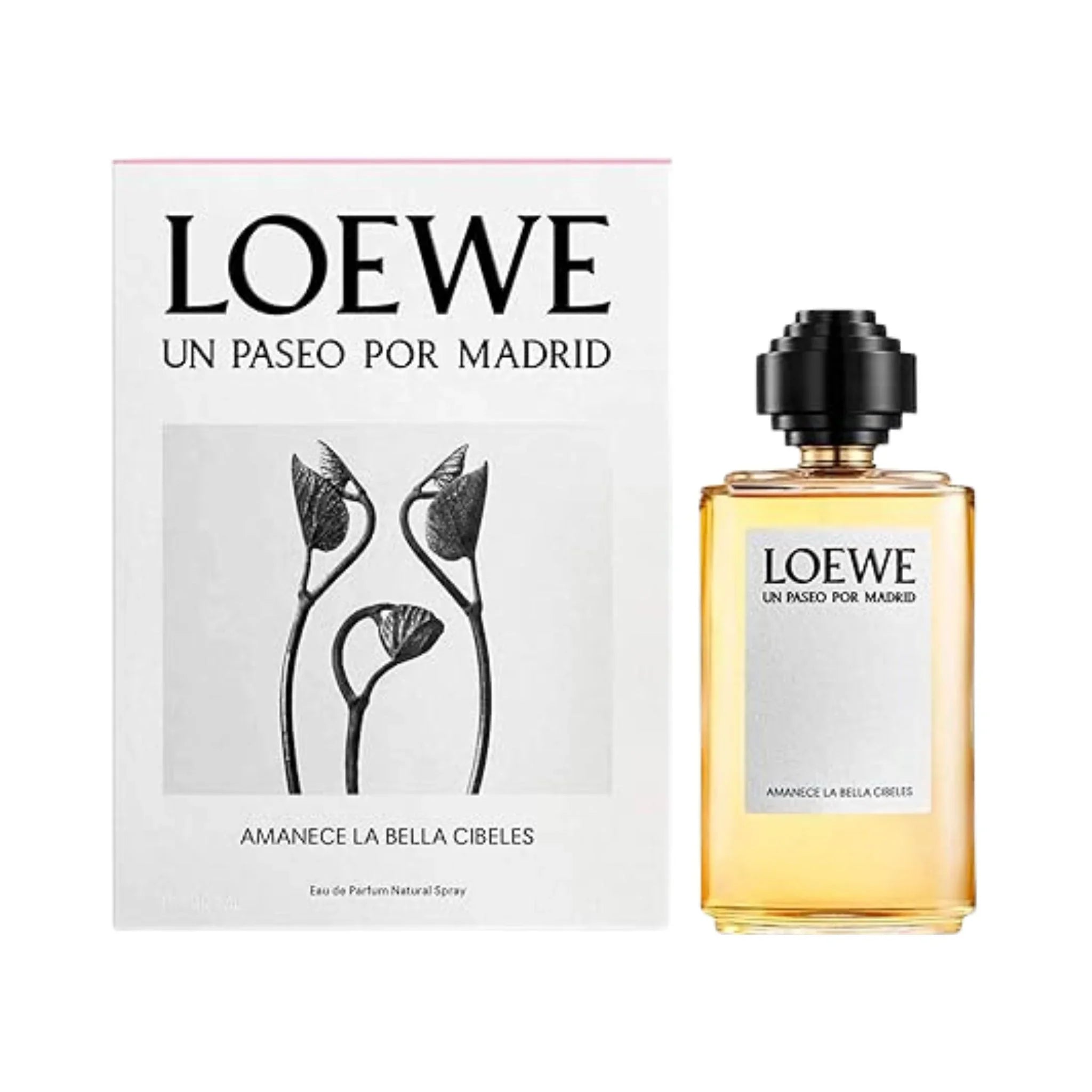 Loewe Amanece La Bella Cibeles EDP