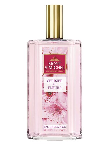 Cerisier en Fleurs