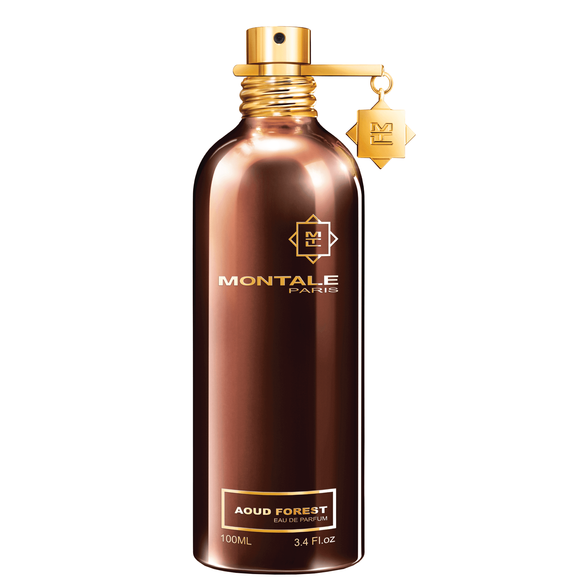 Montale Paris Aoud Forest EDP