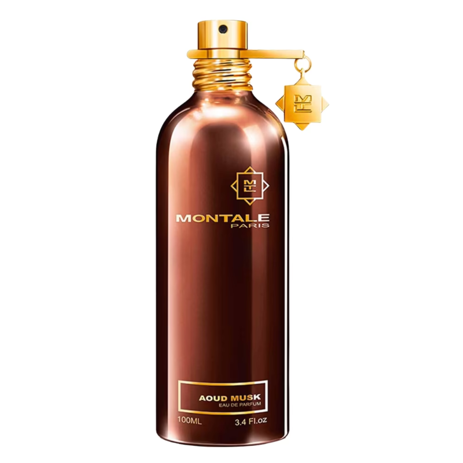 Montale Paris Aoud Musk EDP