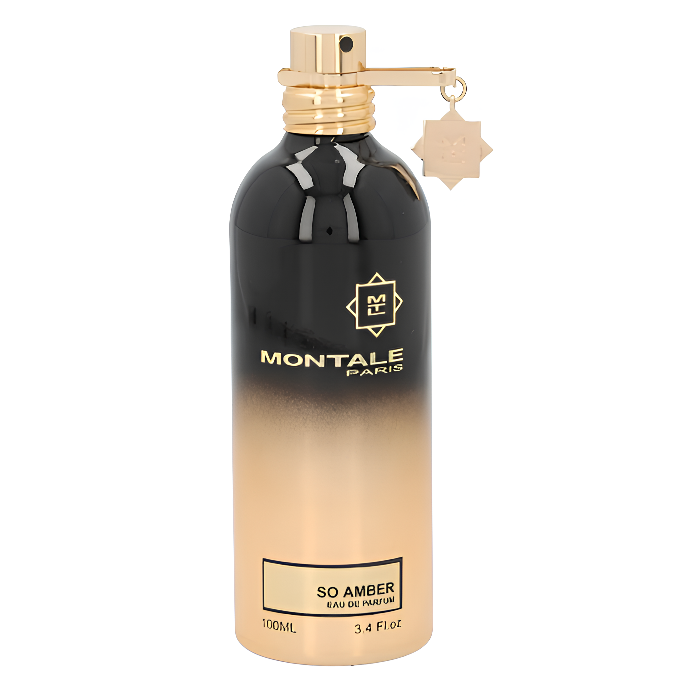 Montale Paris Intense Amber EDP
