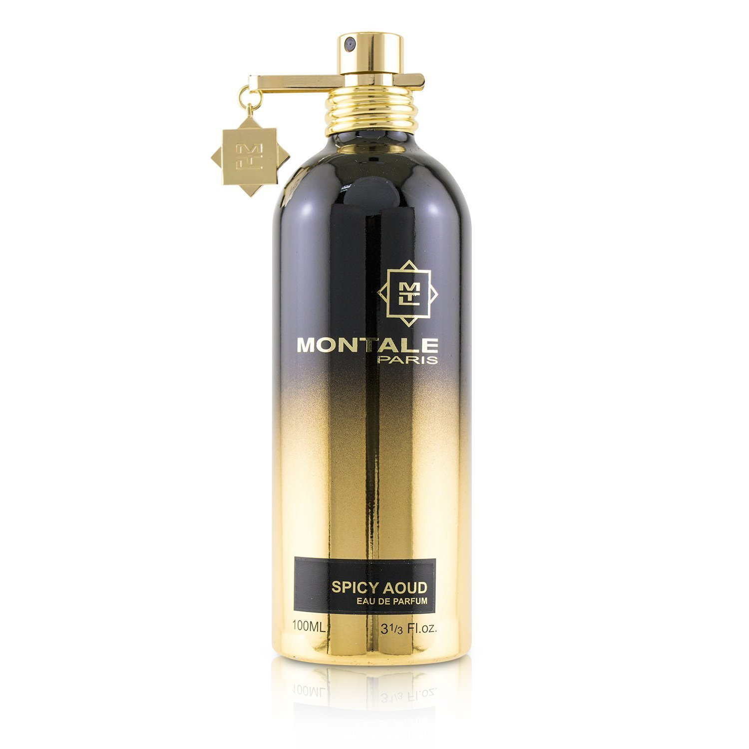 Montale Paris Spicy Aoud EDP