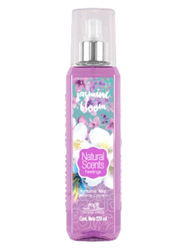 Jasmine Bloom