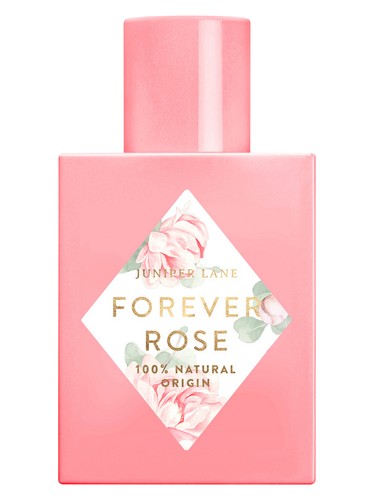 Forever Rose