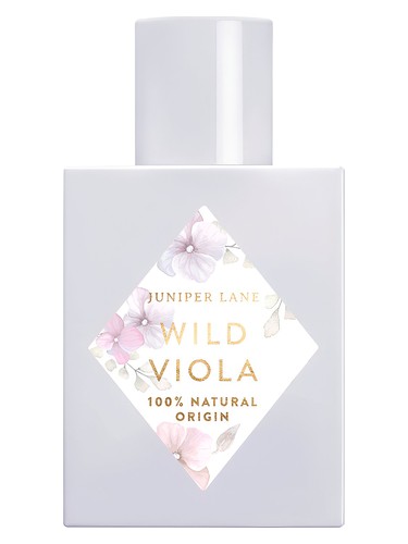 Wild Viola