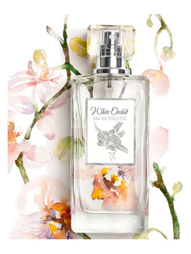 White Orchid